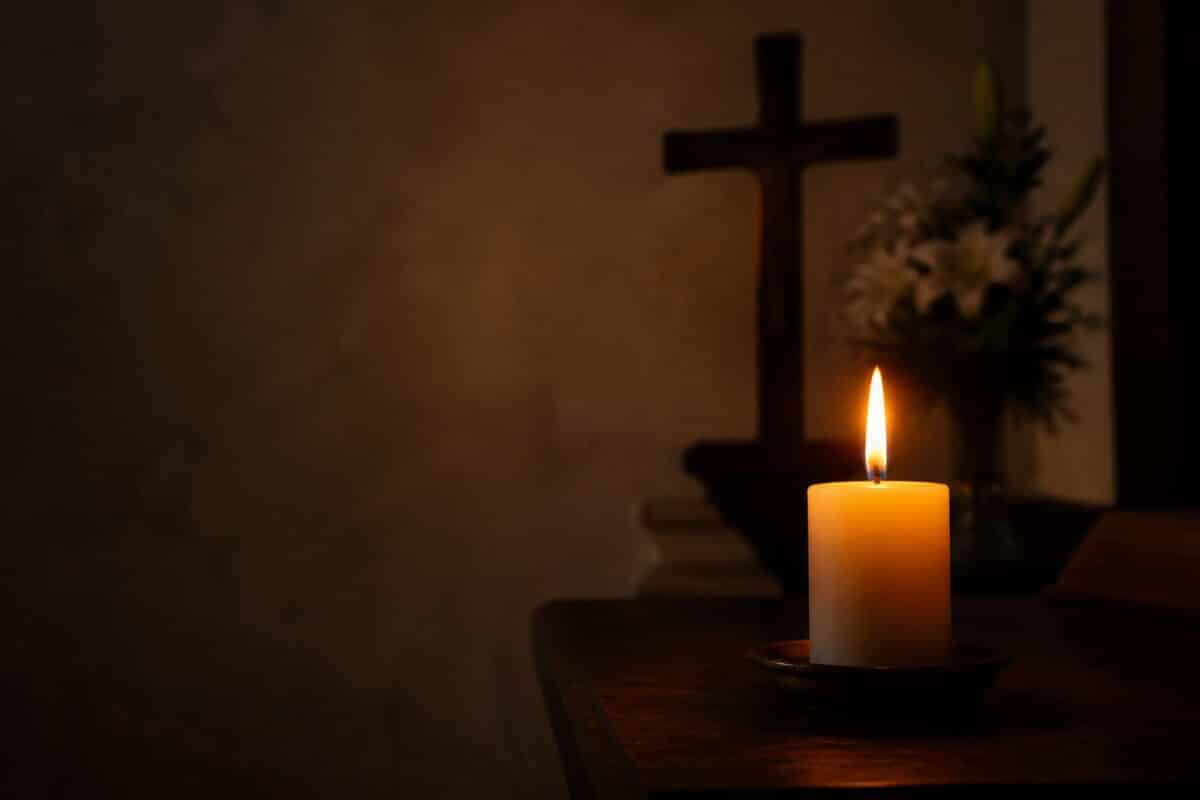 Universo Soy Luz Viva